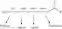Fig. 64 - Branched water-soluble polymers and their conjugates