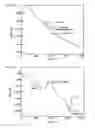 Fig. 02 - Electroluminescence polymer, organic el device, and display