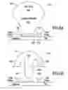 Fig. 09 - Lighting and usability features for key structures and keypads on computing devices
