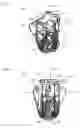 Fig. 02 - Agitator and agitating device with agitator