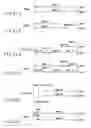 Fig. 33 - Information recording medium, information recording device, and information recording method
