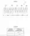 Fig. 05 - Information recording carrier and information reproducing apparatus for the same
