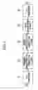 Fig. 03 - Audio characteristic correction system