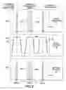 Fig. 03 - Thermal drift compensation system and method for optical networks