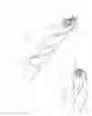 Fig. 08 - Cutting insert with helical geometry and holder therefor