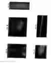 Fig. 08 - Non-isotopic detection of osteoblastic activity in vivo using modified bisphosphonates