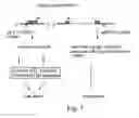 Fig. 02 - Selective killing of cells by activation of double-stranded RNA dependent protein kinase-PKR