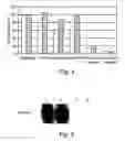 Fig. 04 - Selective killing of cells by activation of double-stranded RNA dependent protein kinase-PKR