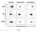 Fig. 08 - Therapeutic and diagnostic applications of genes differentially expressed in lympho-hematopoietic stem cells