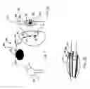 Fig. 02 - Biologic device for regulation of gene expression and method therefor