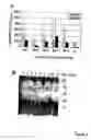 Fig. 02 - antigens