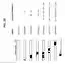 Fig. 05 - Modified proteins, designer toxins, and methods of making thereof