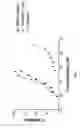 Fig. 09 - Modified proteins, designer toxins, and methods of making thereof