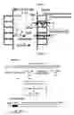 Fig. 02 - Human calcium transporter 1 gene, screening method of calcium absorption regulating factor, and calcium absorption regulating factor