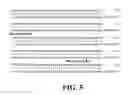 Fig. 04 - Motoneuronotrophic factor gene sequences
