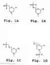 Fig. 02 - Method and antisense composition for selective inhibition of HIV infection in hematopoietic cells
