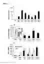 Fig. 02 - Compositions and methods to treat and control tumors by loading antigen presenting cells