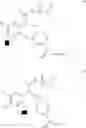 Fig. 07 - ACYLSULFAMIDE INHIBITORS OF FACTOR VIIa