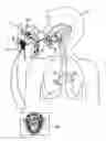 Fig. 01 - Endoscope apparatus