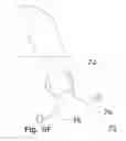 Fig. 40 - Dilator