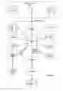 Fig. 02 - Methods and apparatuses to assemble, extract and deploy content from electronic documents