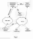 Fig. 02 - Method and system for playing multimedia files