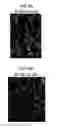 Fig. 06 - Planar light source device and liquid crystal display device having the same