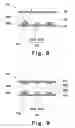 Fig. 08 - Liquid crystal display having electrodes constituted by a transparent electric conductor