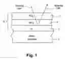 Fig. 02 - Mirror with selectively oxidized areas for memory effect and method of making same