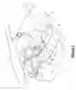 Fig. 02 - VEHICLE INTERIOR ILLUMINATING SYSTEM