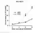 Fig. 08 - Smooth muscle progenitor cells