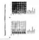Fig. 366 - Methods of inducing an immune response