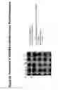 Fig. 367 - Methods of inducing an immune response