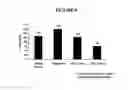 Fig. 09 - Compositions and methods for altering immune function
