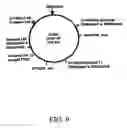 Fig. 20 - Bacterial virulence factors and uses thereof
