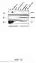 Fig. 23 - Bacterial virulence factors and uses thereof