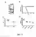 Fig. 26 - Bacterial virulence factors and uses thereof