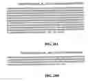Fig. 35 - Bacterial virulence factors and uses thereof