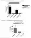 Fig. 02 - Influenza recombinant subunit vaccine
