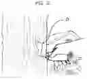 Fig. 03 - Game attracting substance and a method for applying