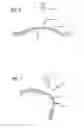 Fig. 04 - Methods and Systems for Treating Injured Cardiac Tissue