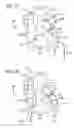 Fig. 09 - Methods and Systems for Treating Injured Cardiac Tissue