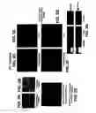 Fig. 05 - Medical device with coating that promotes endothelial cell adherence and differentiation