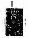 Fig. 13 - Medical device with coating that promotes endothelial cell adherence and differentiation