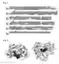 Fig. 03 - HCV polymerase suitable for crystal structure analysis and method for using the enzyme