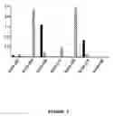 Fig. 02 - Binding molecules capable of neutralizing west nile virus and uses thereof