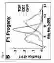 Fig. 07 - Method for Predicting Human Longevity