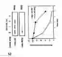 Fig. 20 - Nucleic acid encoding proteins involved in protein degradation, products and methods related thereof
