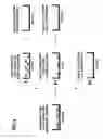 Fig. 02 - Amplification of cell populations from embryonic stem cells