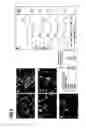 Fig. 07 - Amplification of cell populations from embryonic stem cells